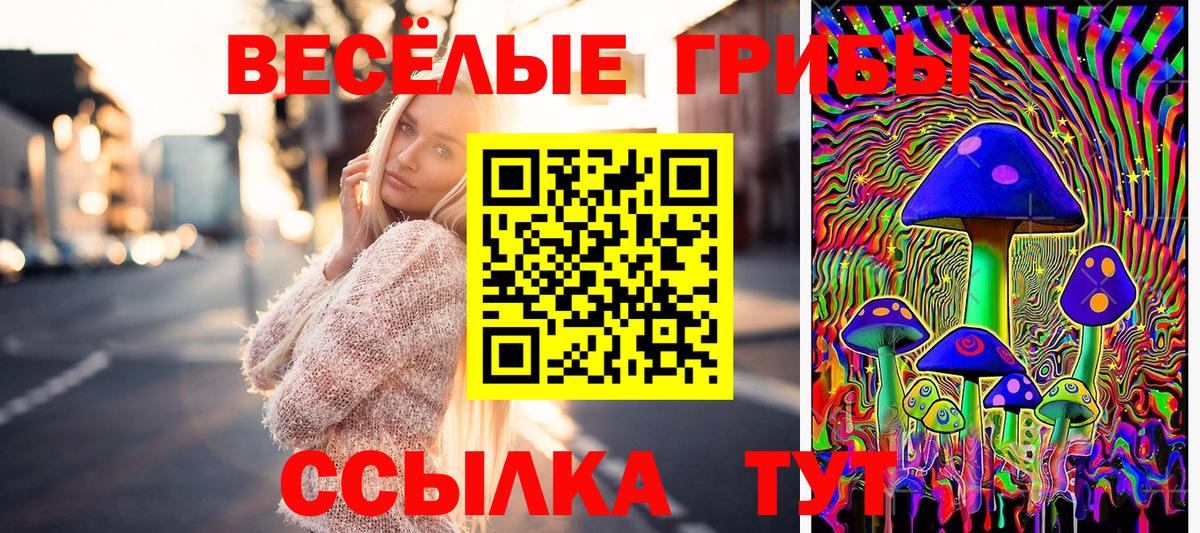Галлюциногенные грибы прущие грибы Усть-Илимск