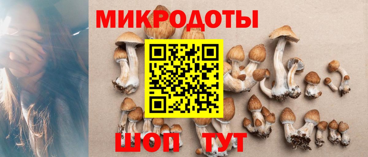 Галлюциногенные грибы Cubensis  Вход с VPN  Усть-Илимск 